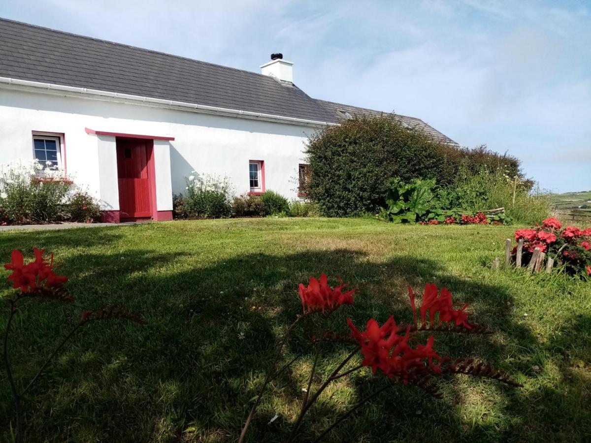 B&B The Red Door Cottage Donegal Town Eksteriør bilde