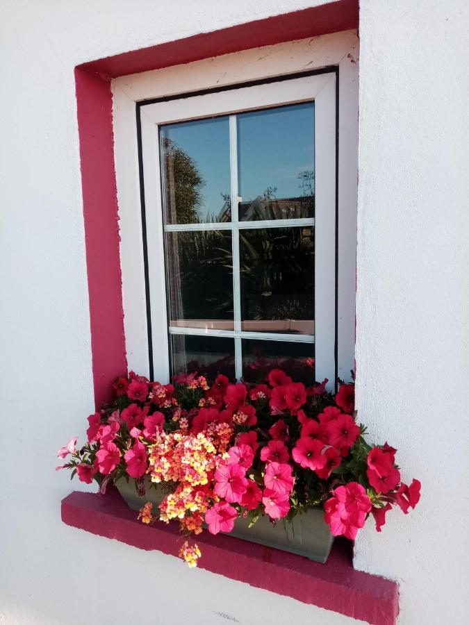 B&B The Red Door Cottage Donegal Town Eksteriør bilde